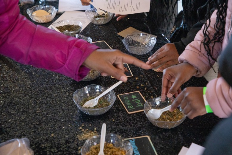 Students examine herbs and natural materials at a wellness education station during the #STEAMtheBlock Party.